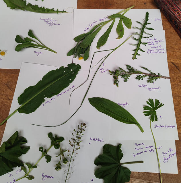 BIODIVERSITY